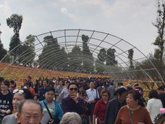 -秀丽东方