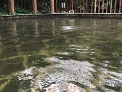 -龙达温泉生态城
