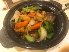 银埝酱炆斑头腩煲-镛记酒家