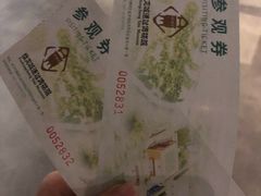 -盘龙城遗址博物院