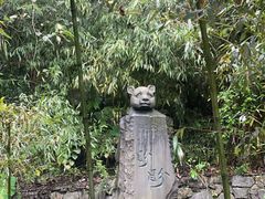 -都江堰中华大熊猫苑