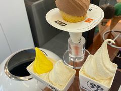 -野人先生Gelato(上海长宁龙之梦店)