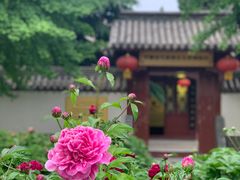 -保定直隶总督署博物馆