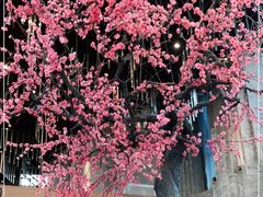 -大渔·观筵(三里屯太古里店)