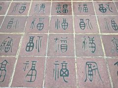 -三水森林公园