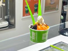 -Salud撒露欧洲冻酸奶(北苑上品店)