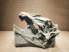 -自贡恐龙博物馆