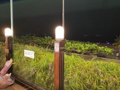 -渔家火锅·海鲜自助餐·演艺(亚龙湾天域酒店)