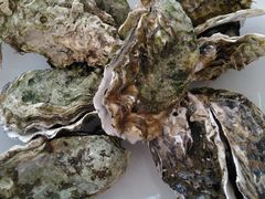 -渔民船说·北塘海鲜·天津菜·海肠捞饭(北塘古镇店)