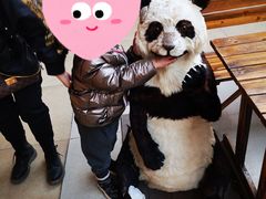 -北京鹿世界主题园