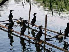 -长兴太湖图影湿地文化园