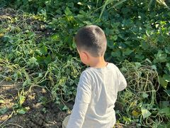 -谷子里田园生态餐厅(七都店)