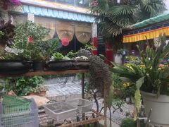 -尼玛藏家风味园(阿山食城店)