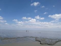 -南汇嘴观海公园