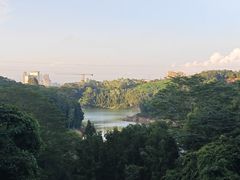 -阳台山森林公园