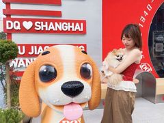 -DQ·蛋糕·冰淇淋(五角场万达店)