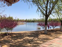 -永定河休闲森林公园