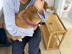 -瑞派动物医院·猫专科·至诚(江南中分院)