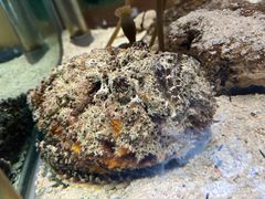 -太平洋海底世界