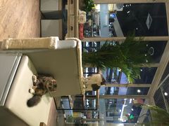 小时光&nbsp;猫语时光咖啡书吧(国贸店)-小时光咖啡馆(开森度假森林店)