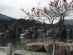 -白马涧龙池景区
