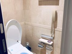 独立卫生间-广州富力丽思卡尔顿酒店