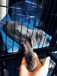 -飛凡TATTOO纹身•原创