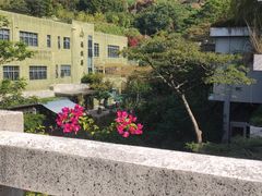 -深圳仙湖植物园