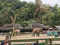-野象谷景区