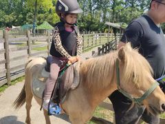 -前小桔亲子创意农场·草莓采摘·露营烧烤