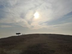 -恋山坝上草原