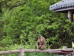 -峨眉山风景名胜区