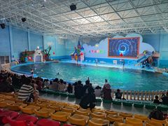 -蓬莱欧乐堡海洋极地世界