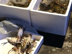 水产区-眼镜哥浦江夜宵大本营