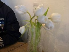 -春风十里咖啡馆