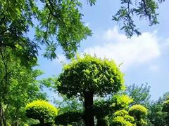 -西海子公园