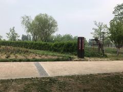 -杭州湾海上花田景区