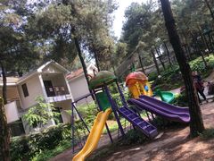 -铁山坪森林公园