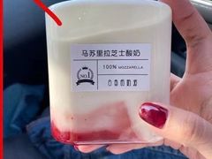 -白色日记·手作酸奶(麦凯乐店)