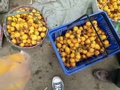 -塘栖枇杷特色园区