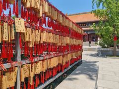 -天津大悲禅院