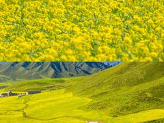 -扁都口生态休闲旅游区