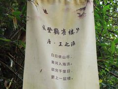 -天姥山