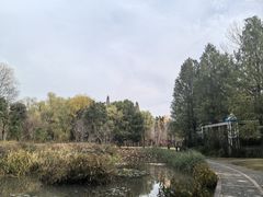 -洛阳市隋唐城遗址植物园