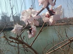 -南翠屏公园