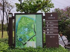 -王借岗森林公园