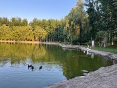 -中家鑫园温泉酒店鑫悦汤泉