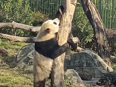 -武汉动物园