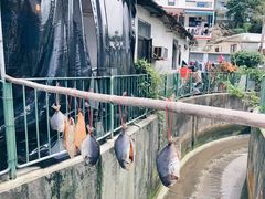 -南丫岛