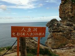 -杨梅坑